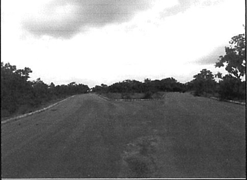 Terreno - Venda - Santa Luzia - Baldim - MG