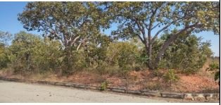 Terreno - Venda - Santa Luzia - Baldim - MG