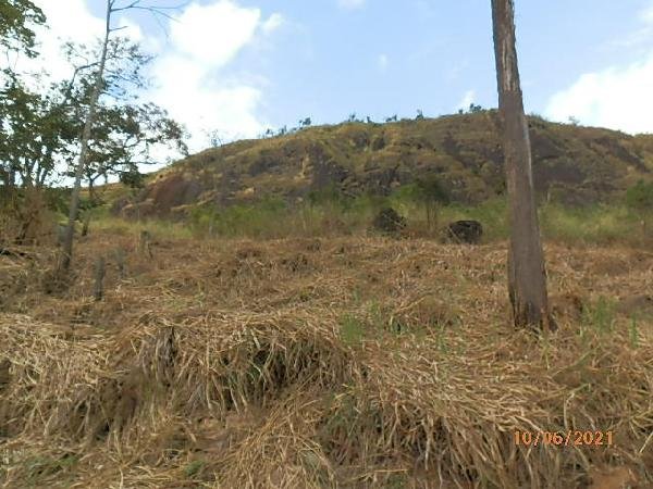 Terreno - Venda - Loteamento Petrpoli - Carangola - MG