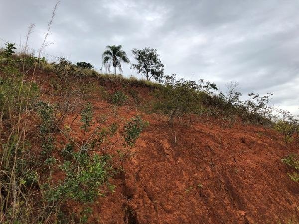 Terreno - Venda - Parque dos Bandeirantes - S�o Gon�alo do Rio Abaixo - MG