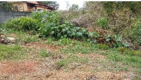 Terreno - Venda - Centro - Martinho Campos - MG