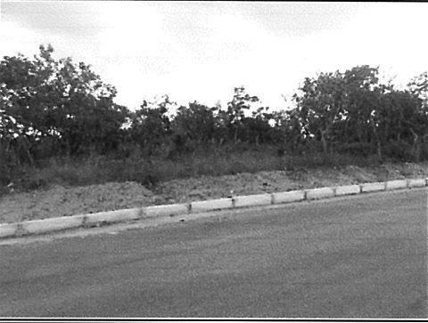 Terreno - Venda - Santa Luzia - Baldim - MG