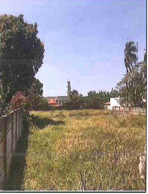 Terreno - Venda - Ibirita - Martinho Campos - MG