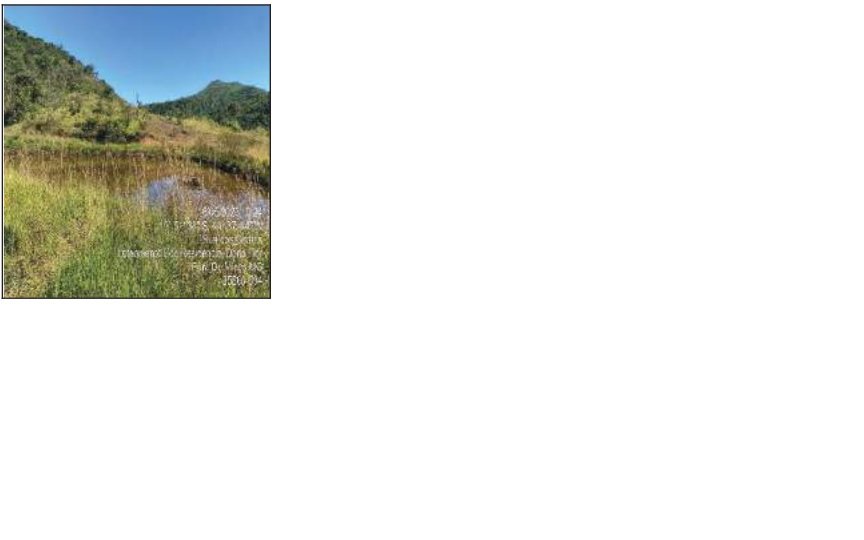 Terreno - Venda - Residencial Dona Flor - Pará de Minas - MG