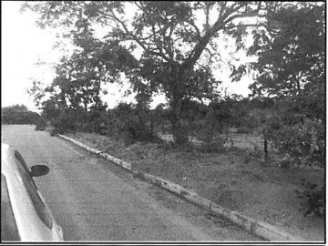 RUA ELIZA PEREIRA CEZAR,N. S/N LT 21 QD 34