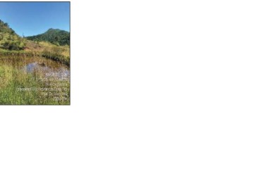 RUA DOS CEDROS QD12 PARQUE RESID D FLOR 1 ETAPA